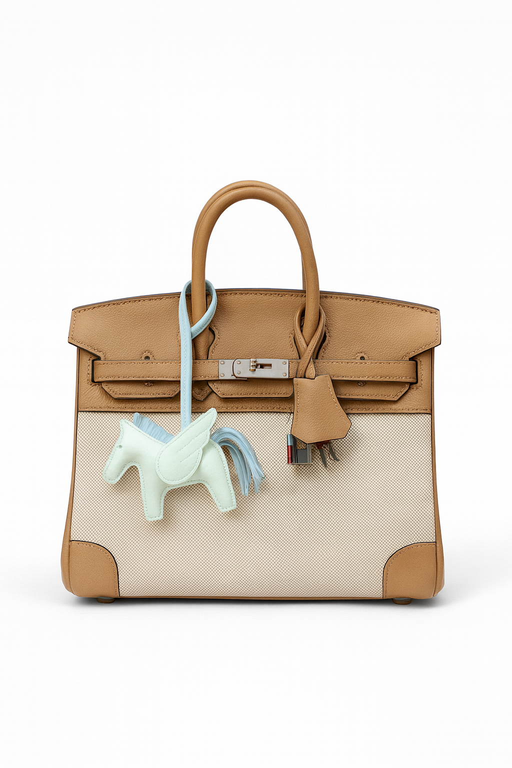Birkin 25 Canvas Bag.
