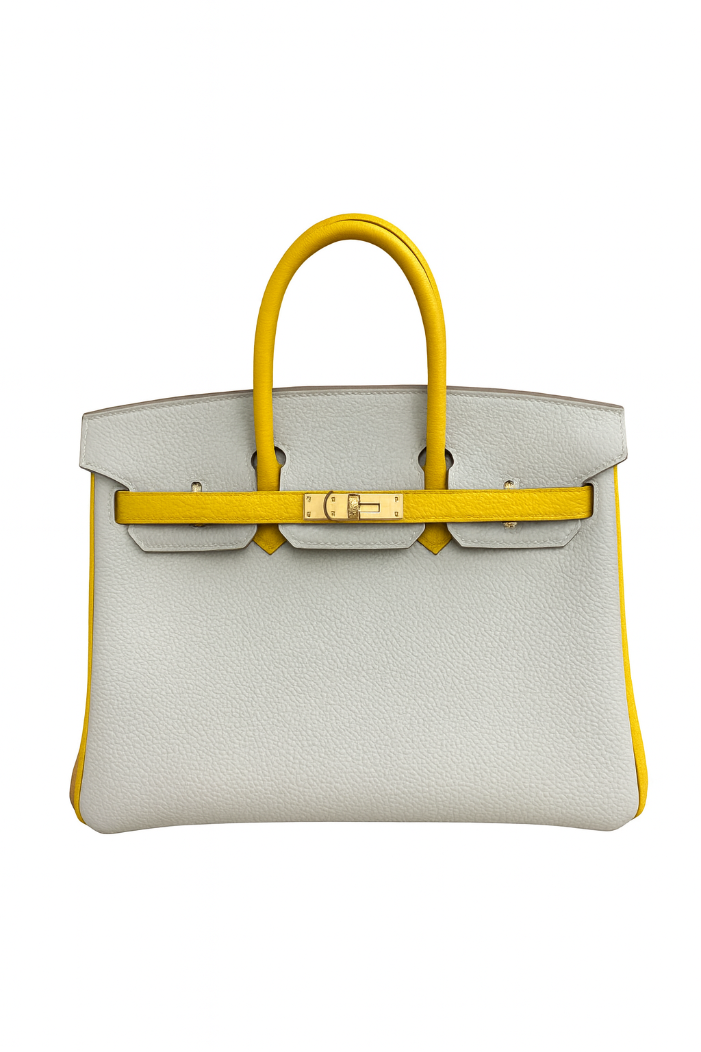 Birkin 25 Togo.