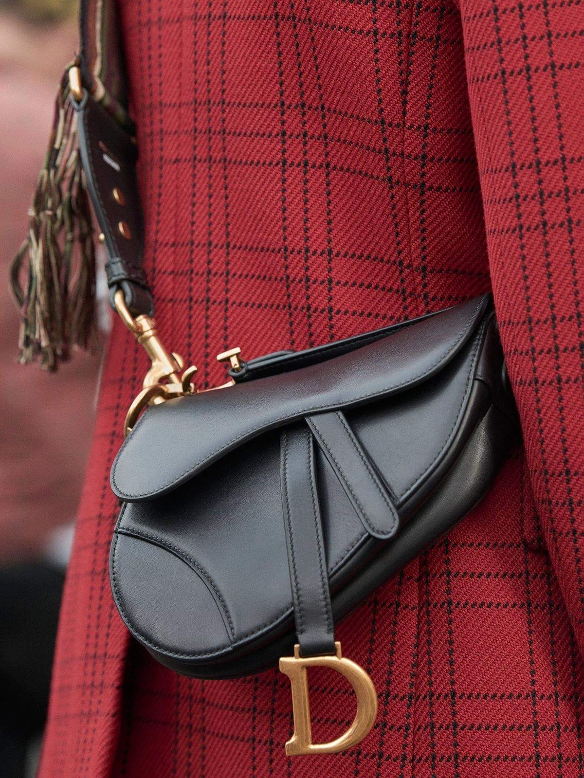 saddle bag.