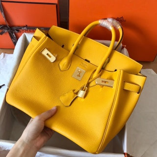 Birkin 25 Togo