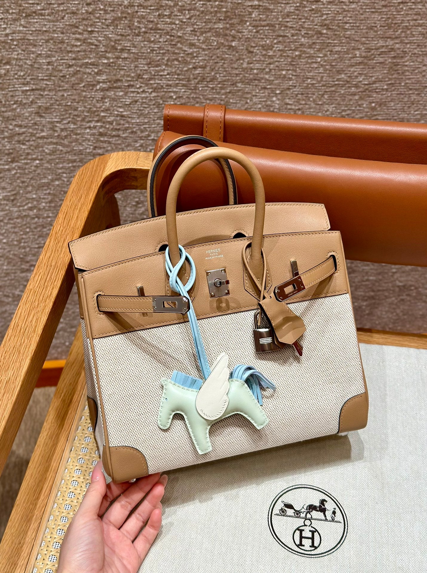 Birkin 25 Canvas Bag.