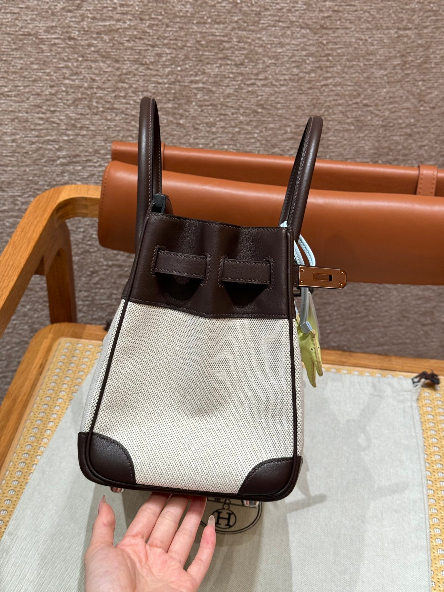 Birkin 25 Canvas Bag.