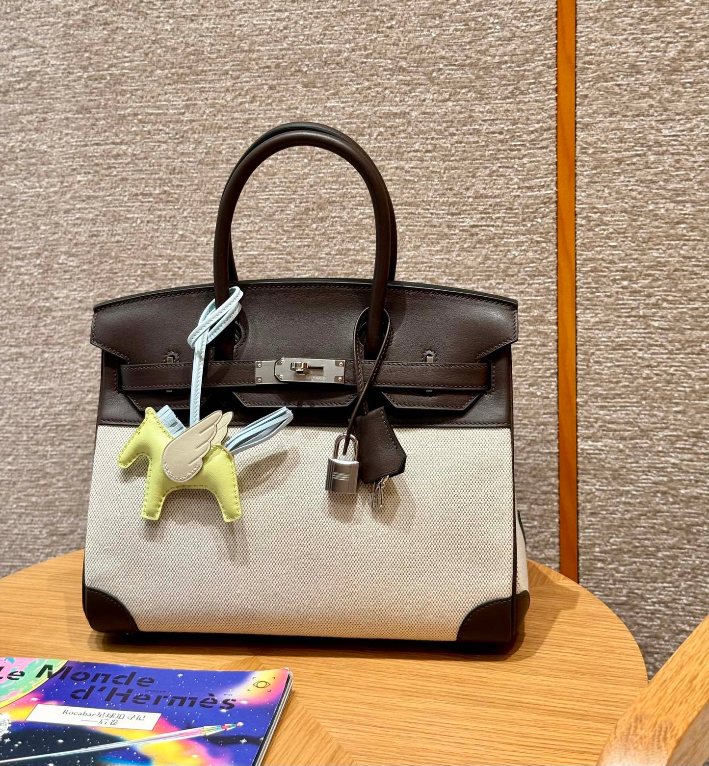 Birkin 25 Canvas Bag.