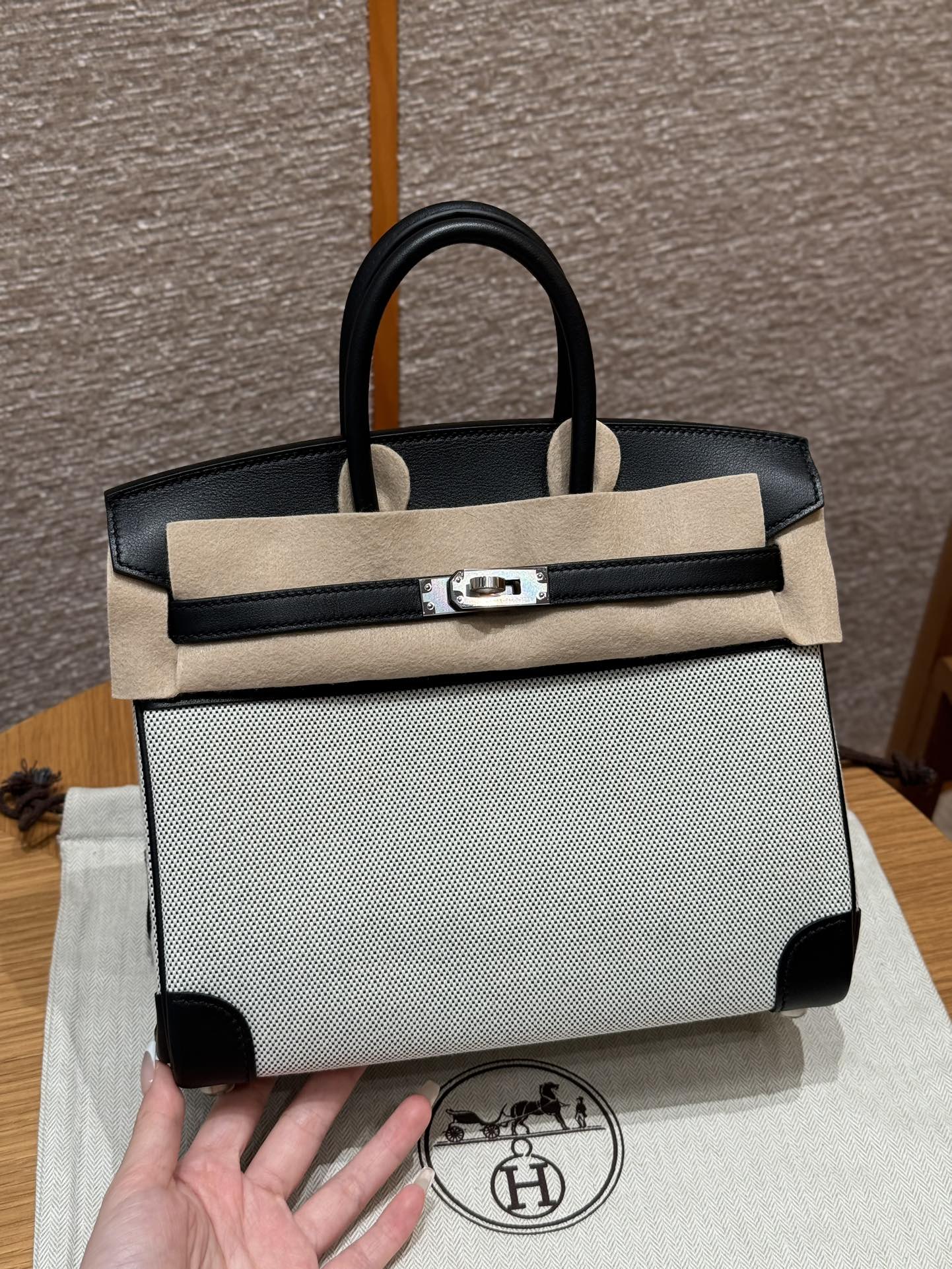Birkin 25 Canvas Bag.