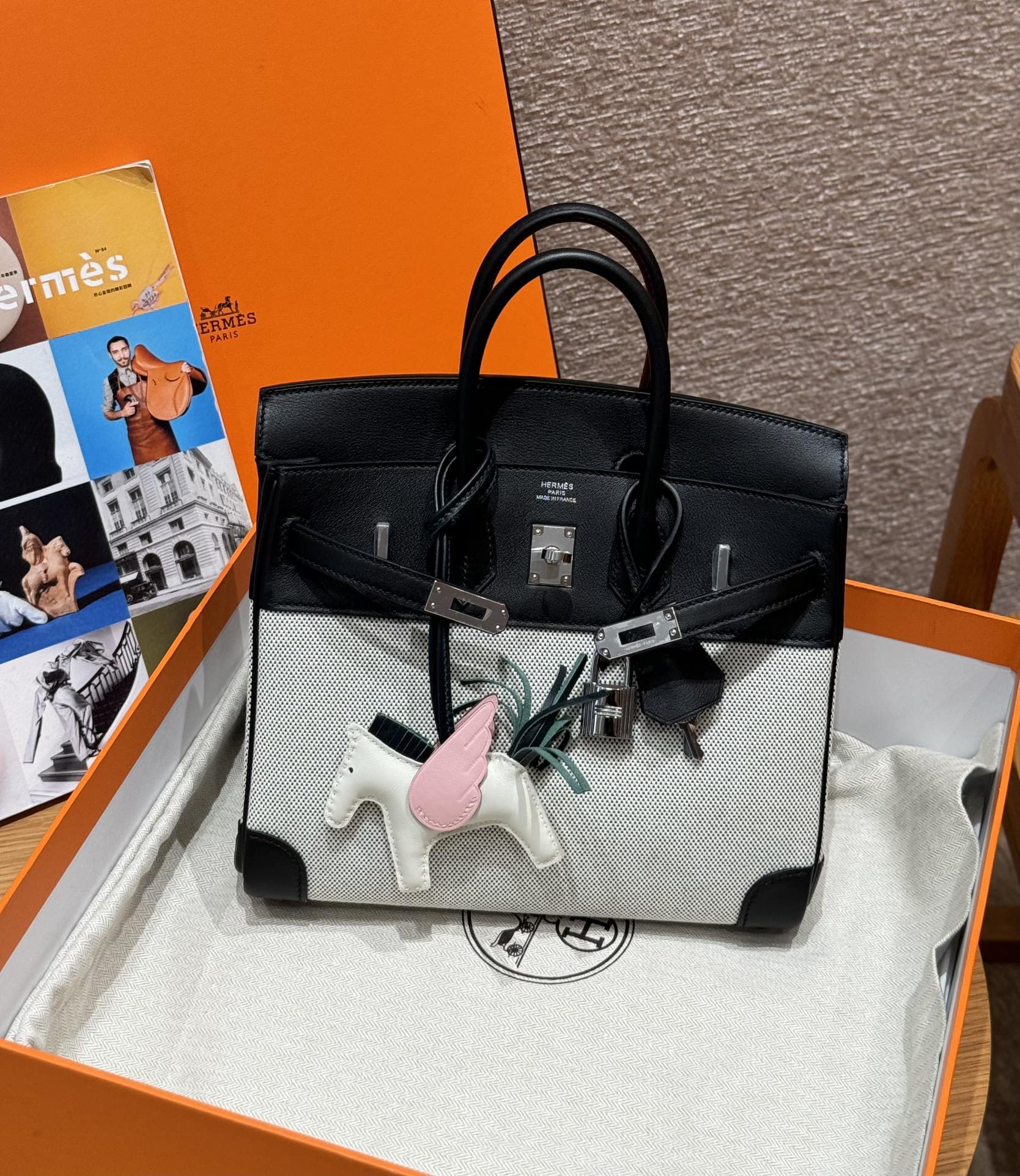Birkin 25 Canvas Bag.
